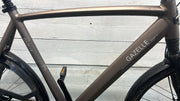 Gazelle Grenoble