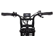 Altec Arion E-Bike Fatbike Black