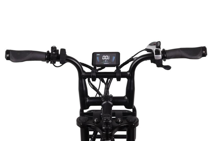 Altec Arion E-Bike Fatbike Black