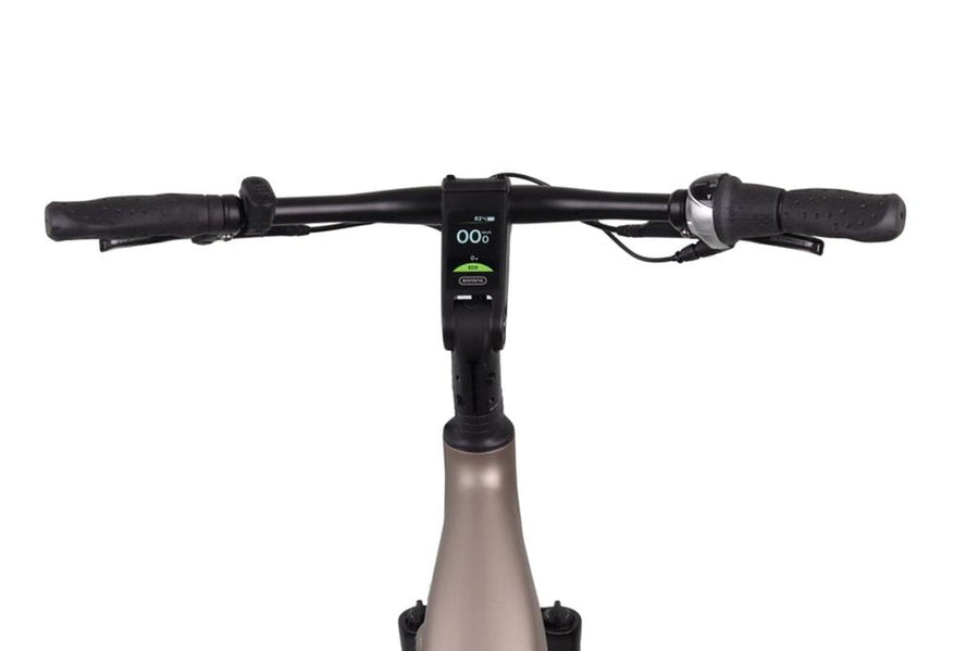 Altec Dynamic E-Bike