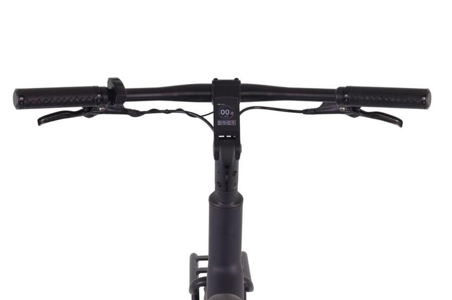 Altec X-9 E-Bike Mat Zwart