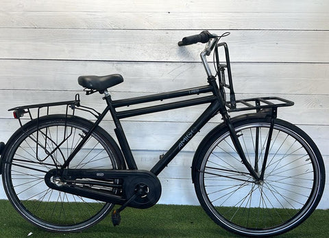 Amigo E-Pulse