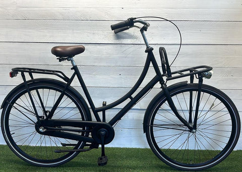 Avalon Carrier Bike