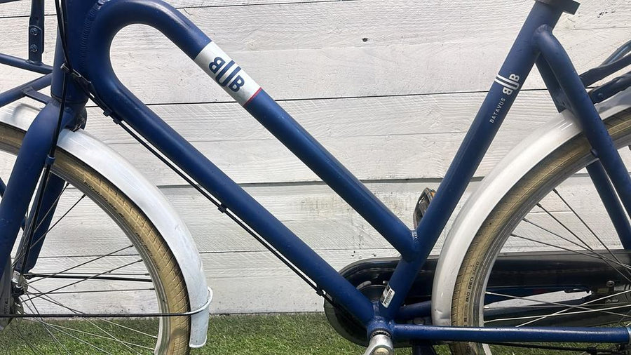 Batavus Bub