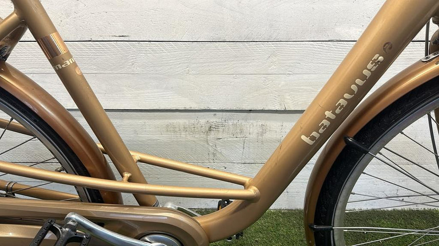 Batavus Mambo