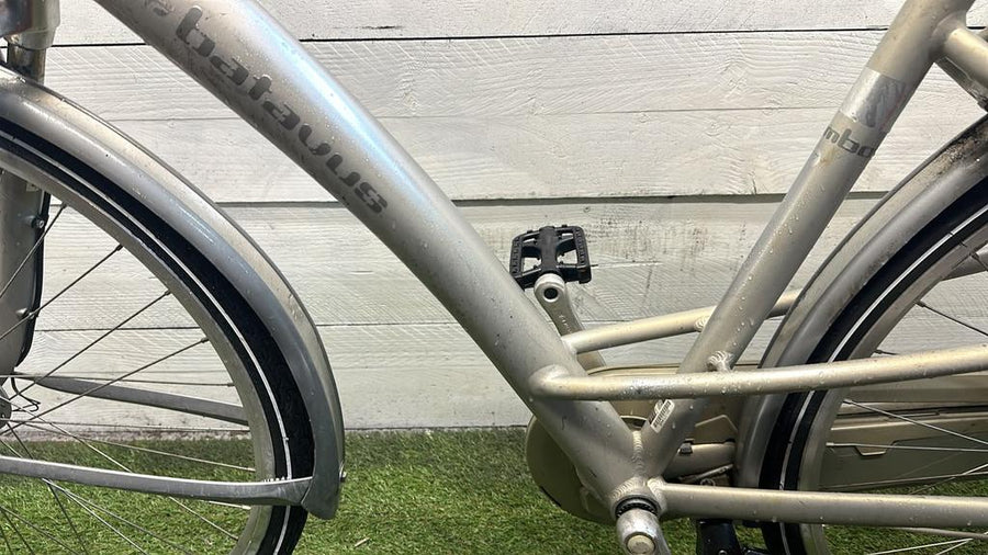 Batavus Mambo