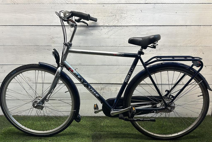 Batavus holiday v3 cm57 inch28