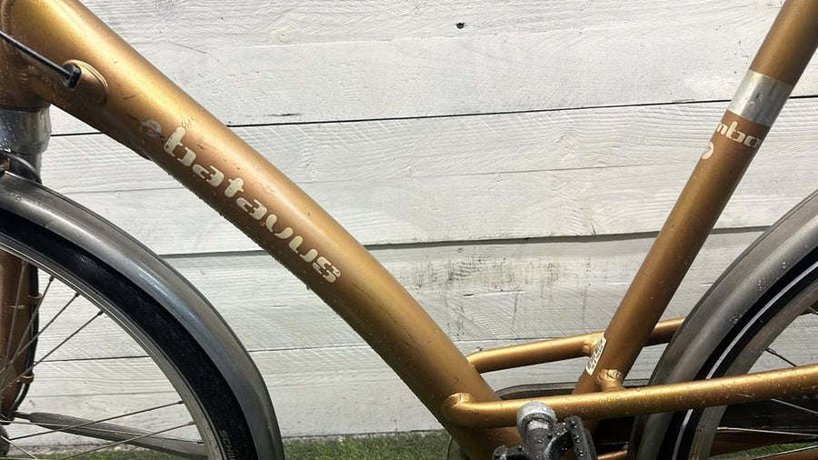 Batavus mambo v7 cm57 inch28