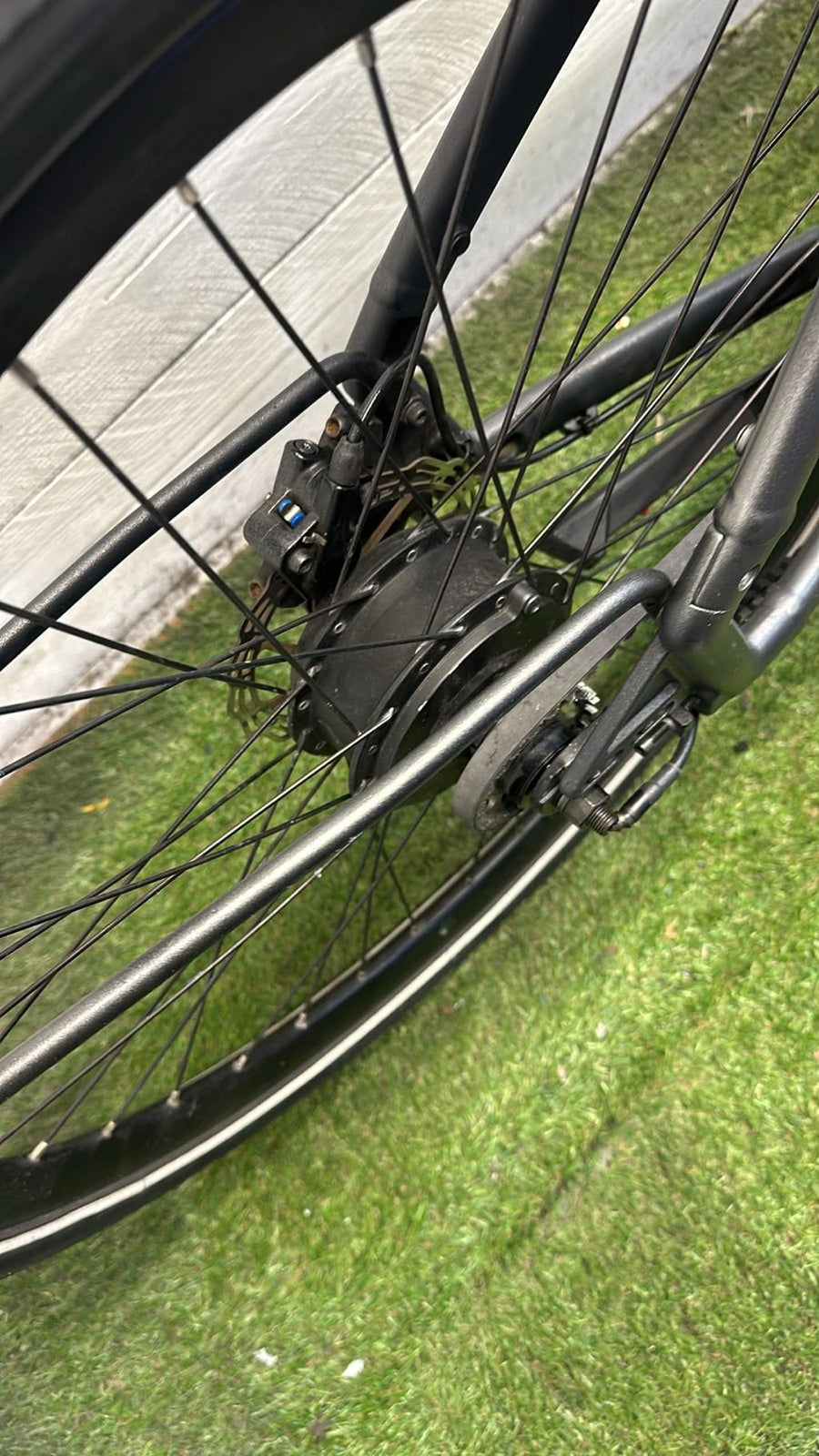 Cortina E-Lett