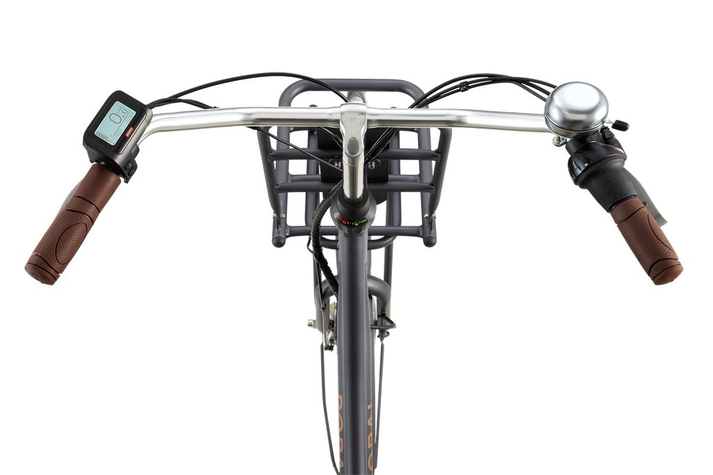 Daily Dutch Prestige 28 inch E-Bike Cosmic Sand