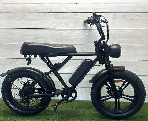 Fat bike