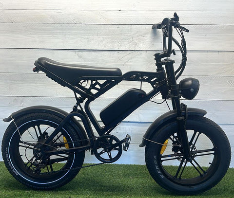 Fat bike