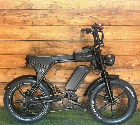 Fat bike
