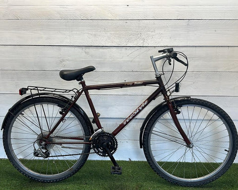 Free Style City Bike
