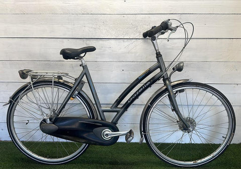Gazelle Davos