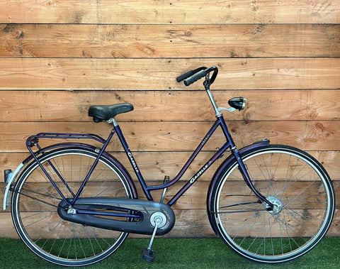Gazelle Esprit 28inch 57cm