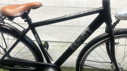 Gazelle Esprit