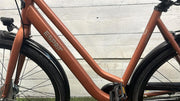 Gazelle Esprit