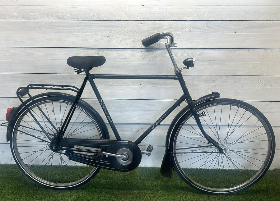 Gazelle Men's Bicycle