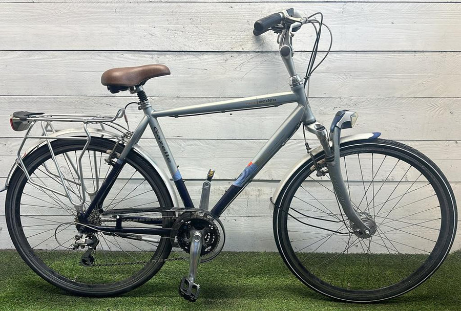 Gazelle Medeo