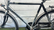 Gazelle Punta