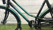 Gazelle Touche