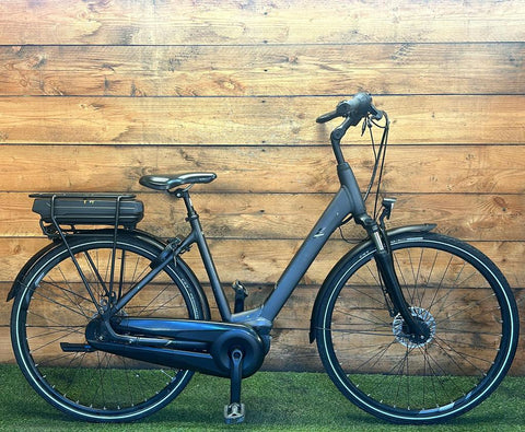 Giant Entour E-Bike