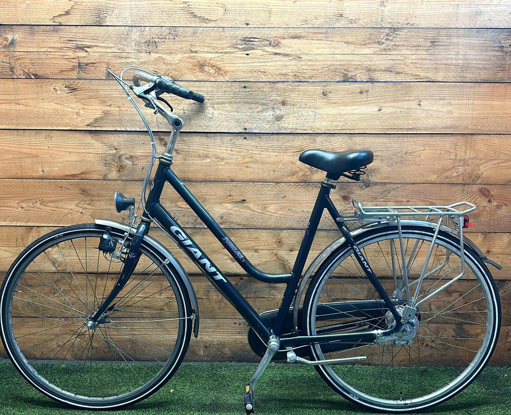Giant Jubilee 7v 28inch 60cm