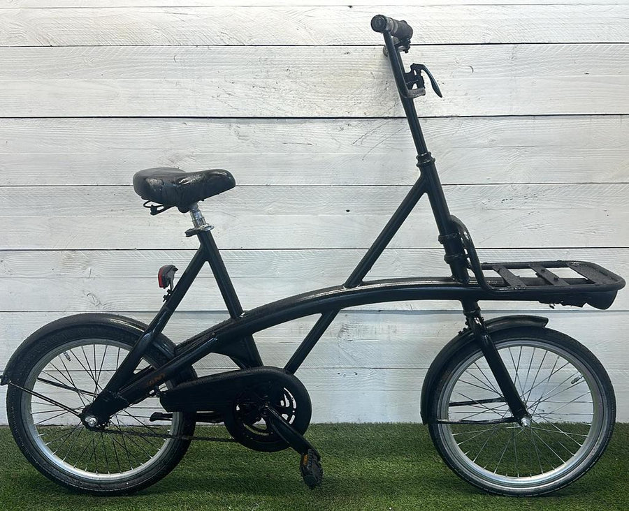 Giant Carrier Bike