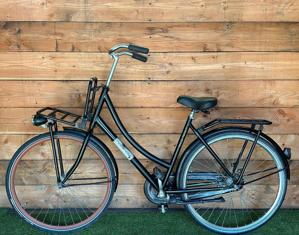 Hollandia Royal Fames 28inch 53cm