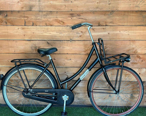 Hollandia Royal Fames 28inch 53cm