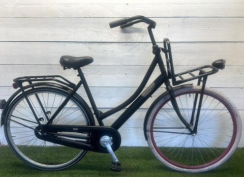 Mobion Transport Bicycle