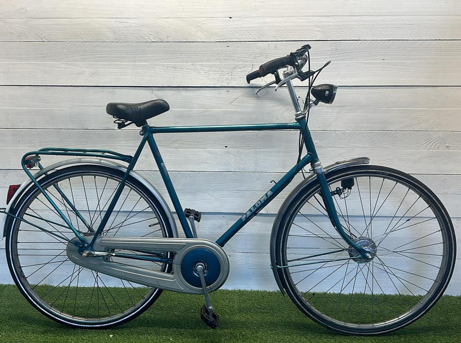Paloma Men's Bicycle