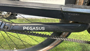 Pegasus E-bike