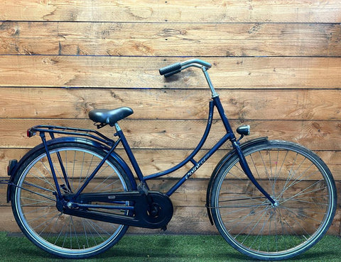Pointer Gloria 28inch 50cm