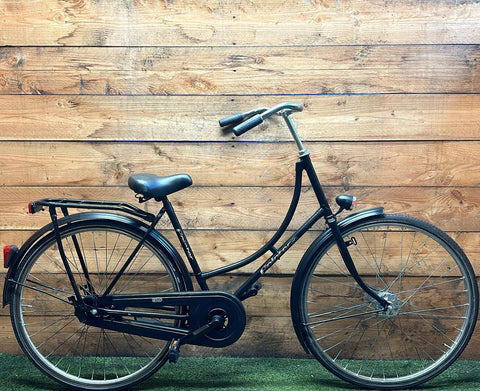 Pointer Glory 28inch 50cm