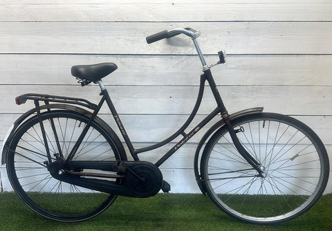 Pointer Granny Bike