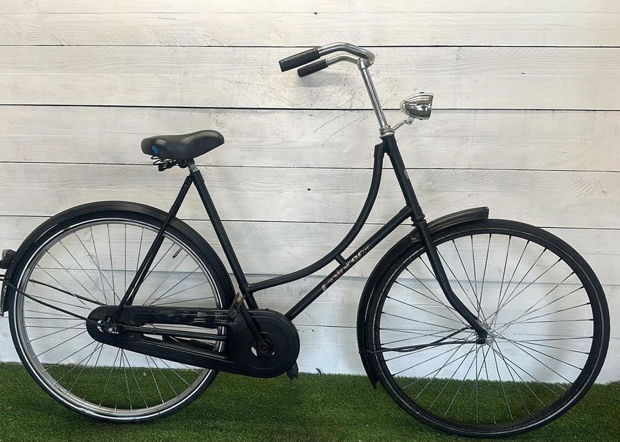 Pointer Omafiets