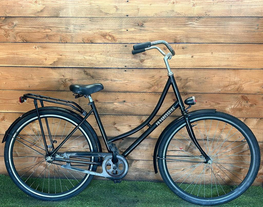 Progressbike Grandma Bike