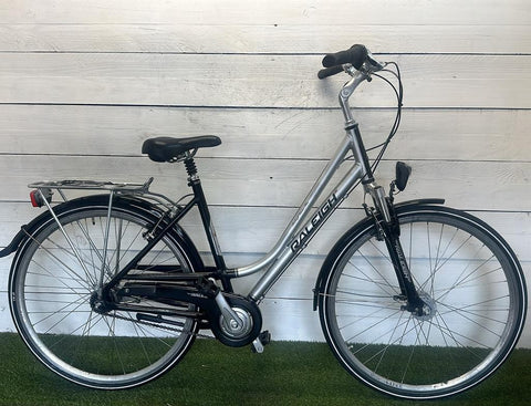 Raleigh Women's Bicycle
