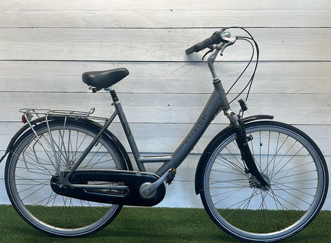 Raleigh Women's Bicycle