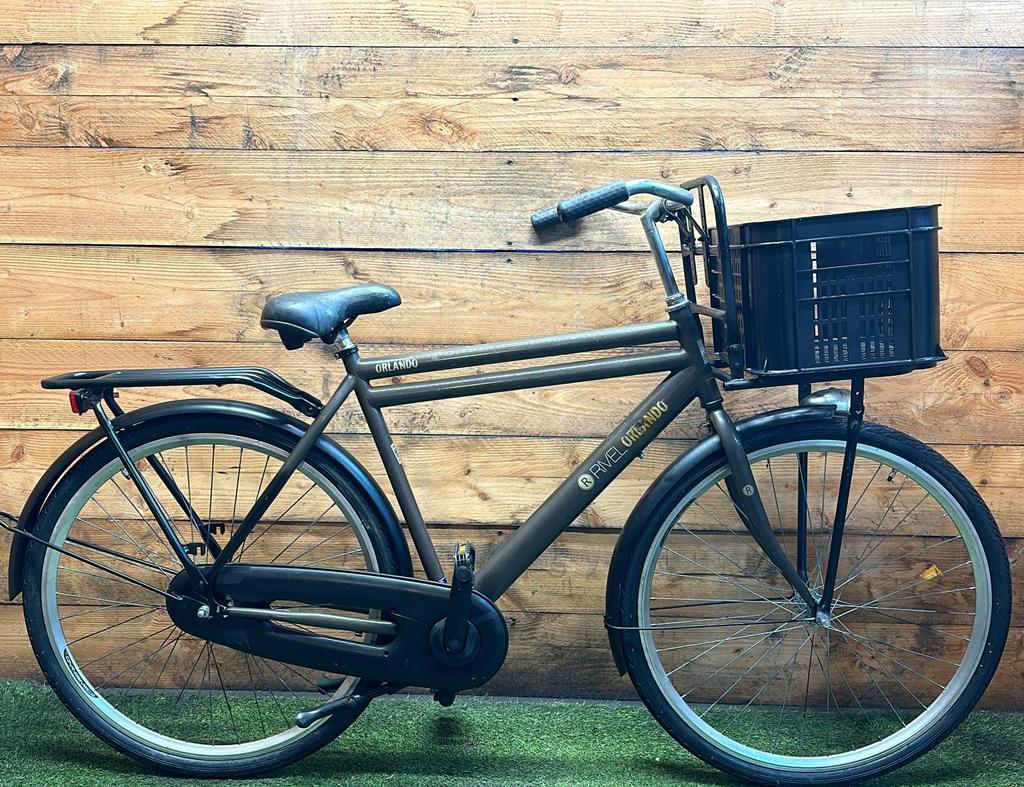 Rivel Orlando 28inch 57cm