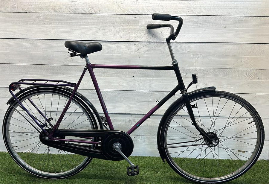 Roma Men's Bicycle