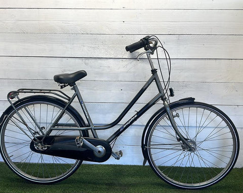 Simplex Women's Bicycle