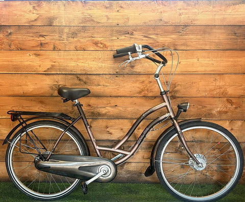 Sparta Amazone Mother's Bicycle