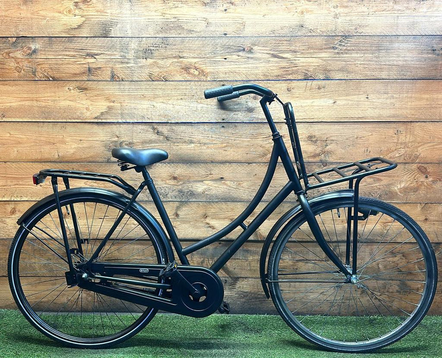 Carrier bike