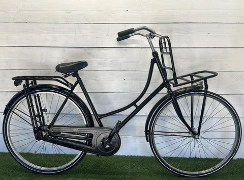 Carrier bike