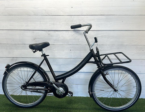 Carrier bike