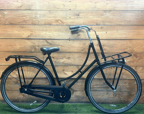 Carrier bike