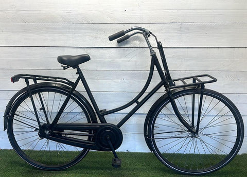 Carrier bike